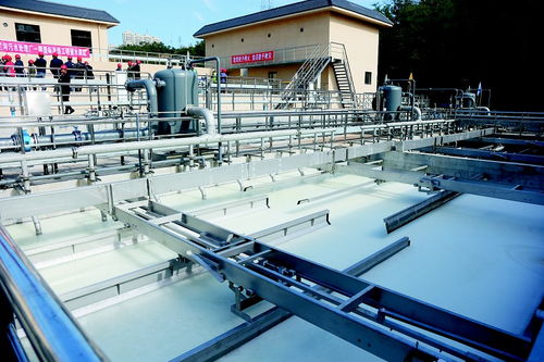 同心縣縣城新區污水處理廠擴建工程設計工程中標公示發布，工期204天